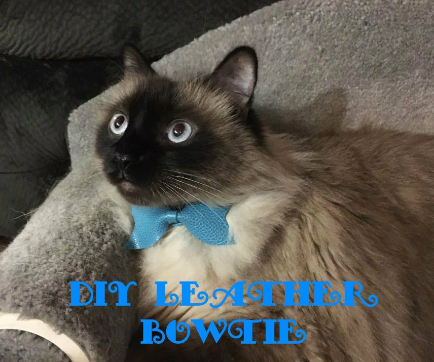 DIY Leather Bowtie