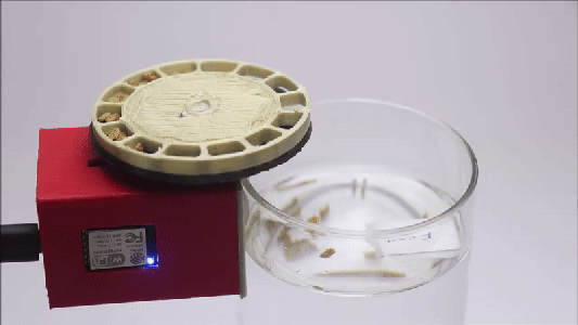 How to Connect and Use