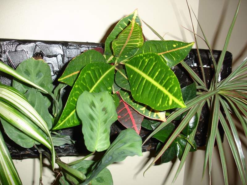 Vertical Garden From Free Recycled Styrofoam