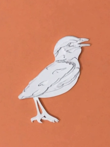 Layered Paper Indian Pitta Bird