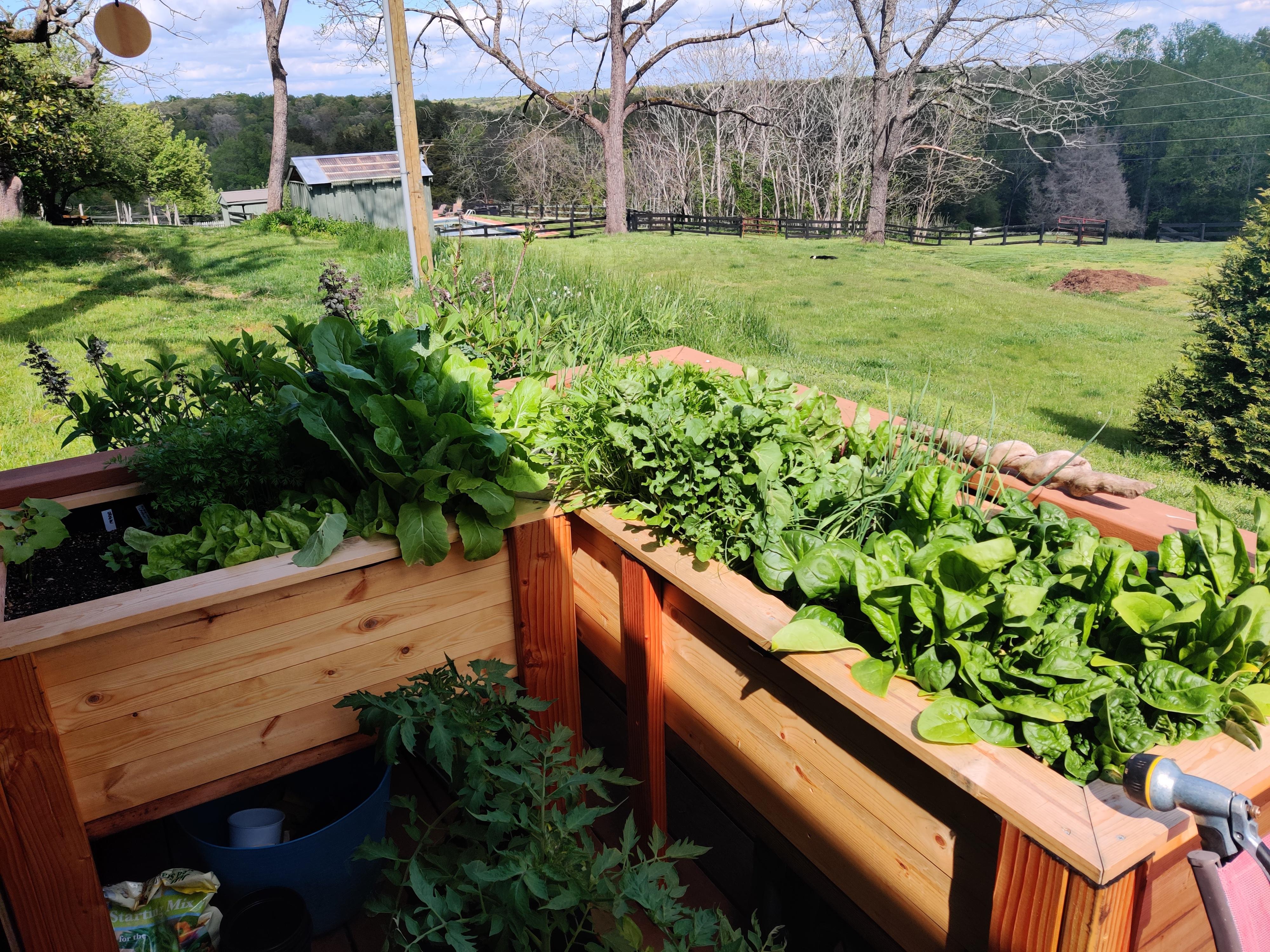 Adjustable Height Grow Light Shelf 7 Steps (with Pictures