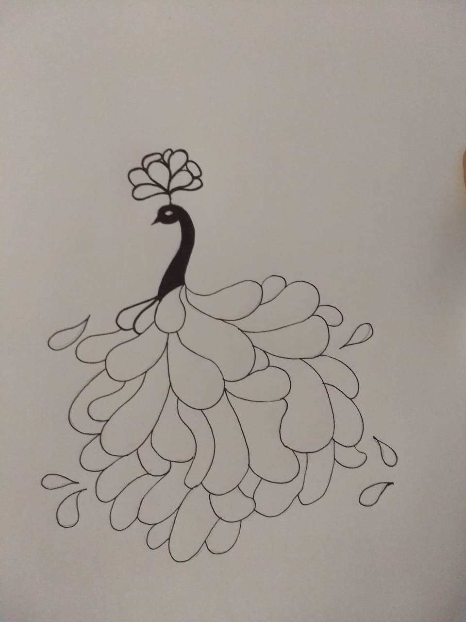 Inner Beauty of a Peacock - From Pen, Pencil and Paper : 3 Steps ...