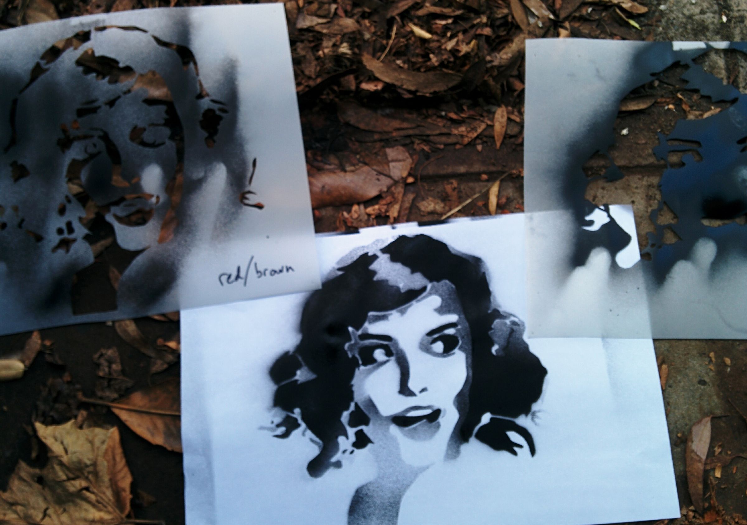 Make a Bridged Stencil From Any Image 9 Steps (with Pictures