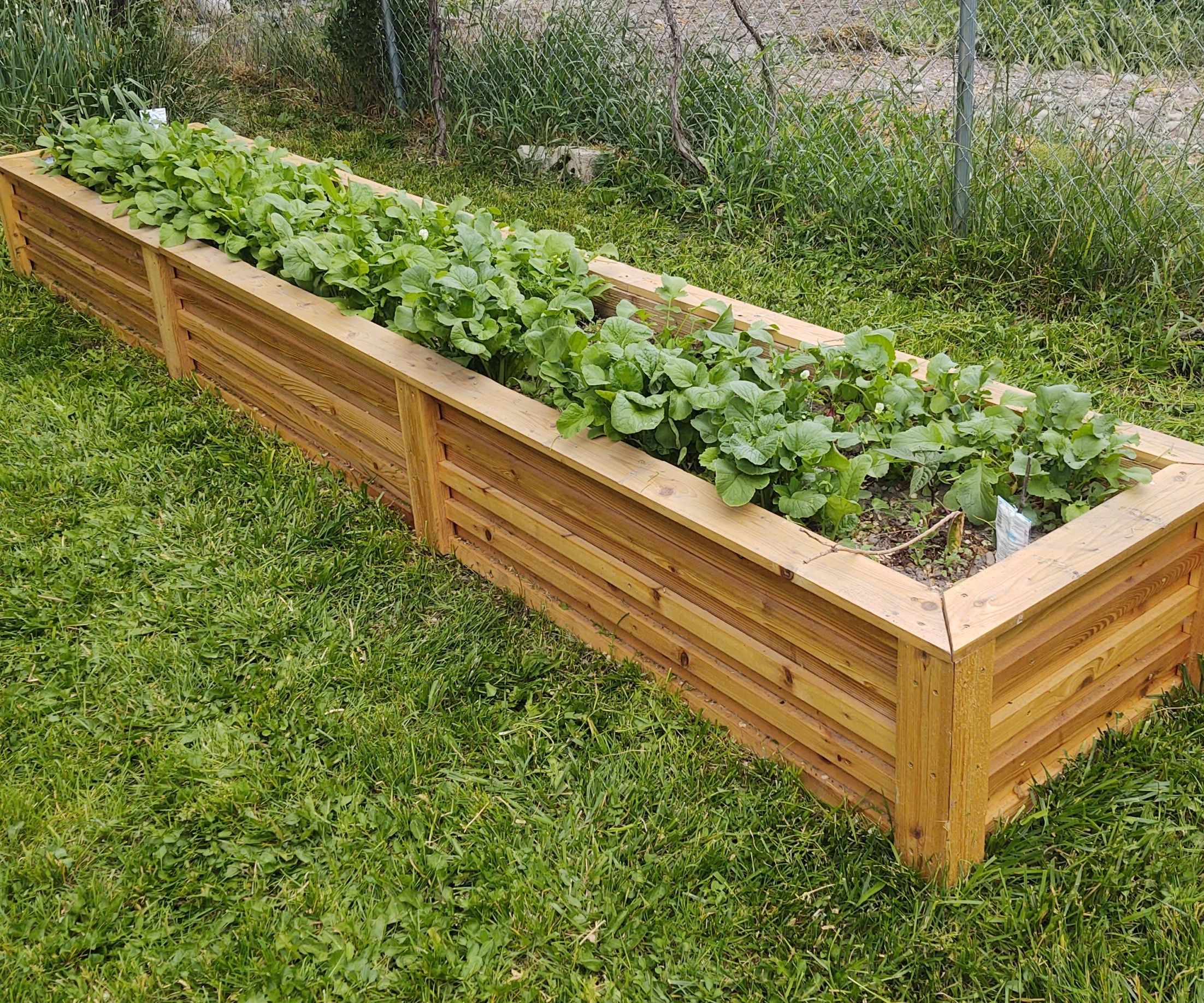 Build a Raised Garden Bed