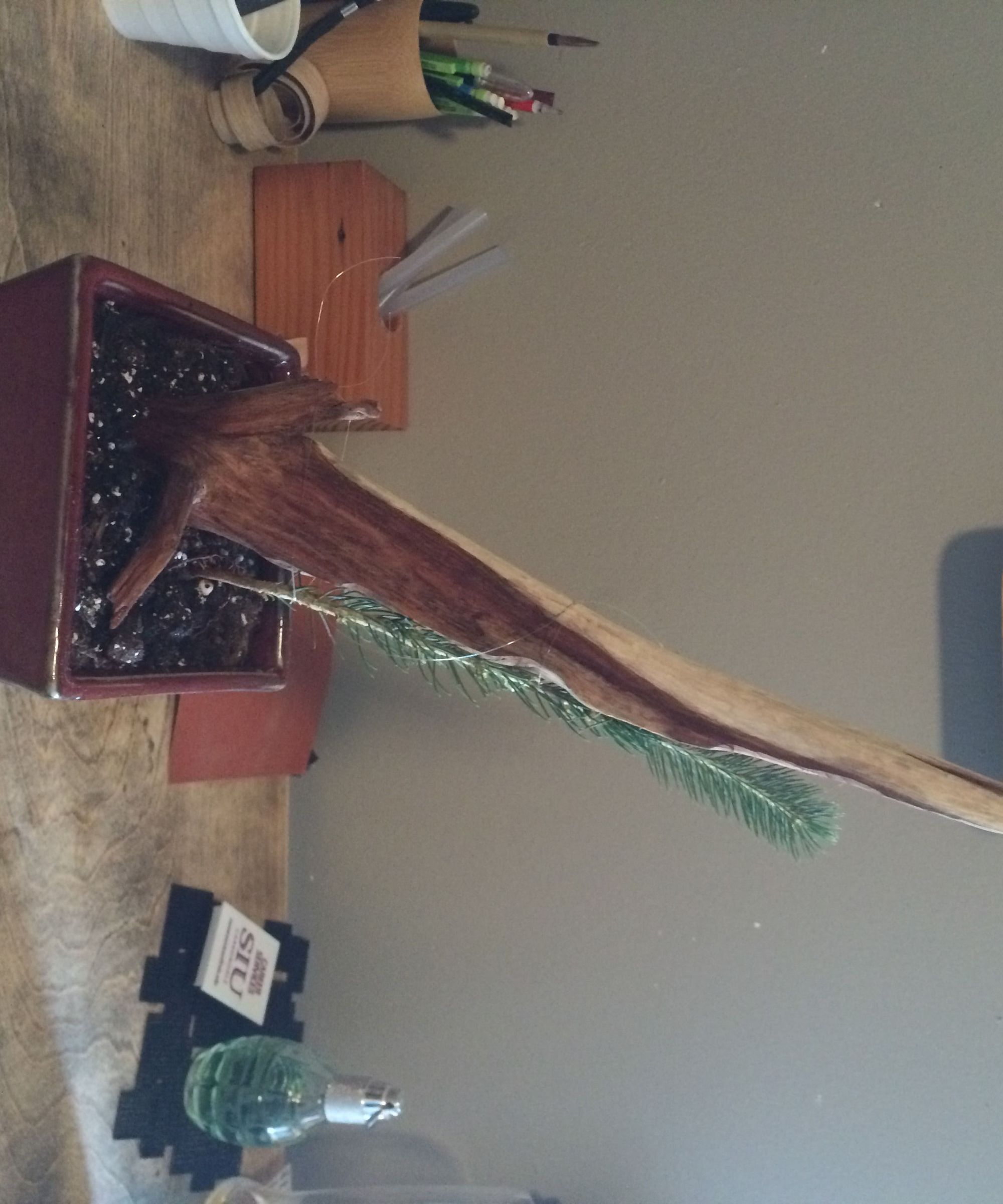 Bonsai Deadwood (Jin or Shari)