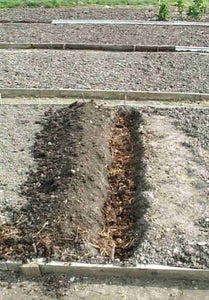 Dig a Hole