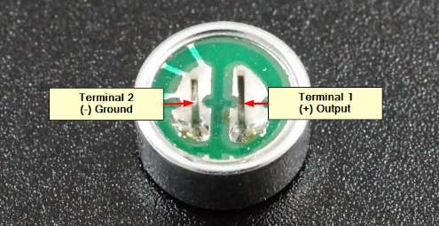 Theory (Input Taken From Mic)