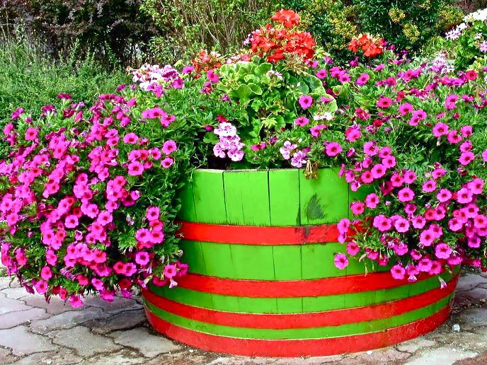 Grow food crops or ornamentals in a barrel