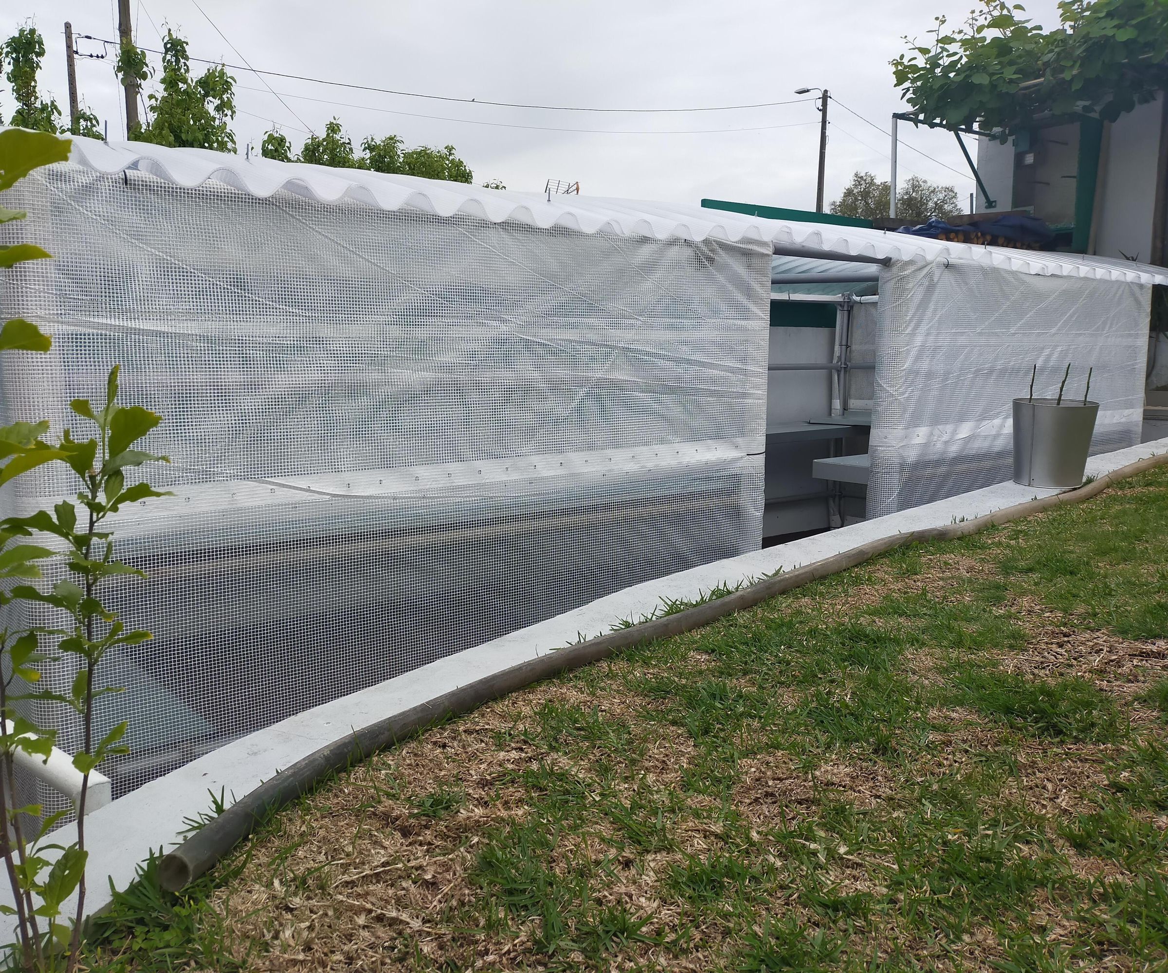 Greenhouse Made With...scaffolding?