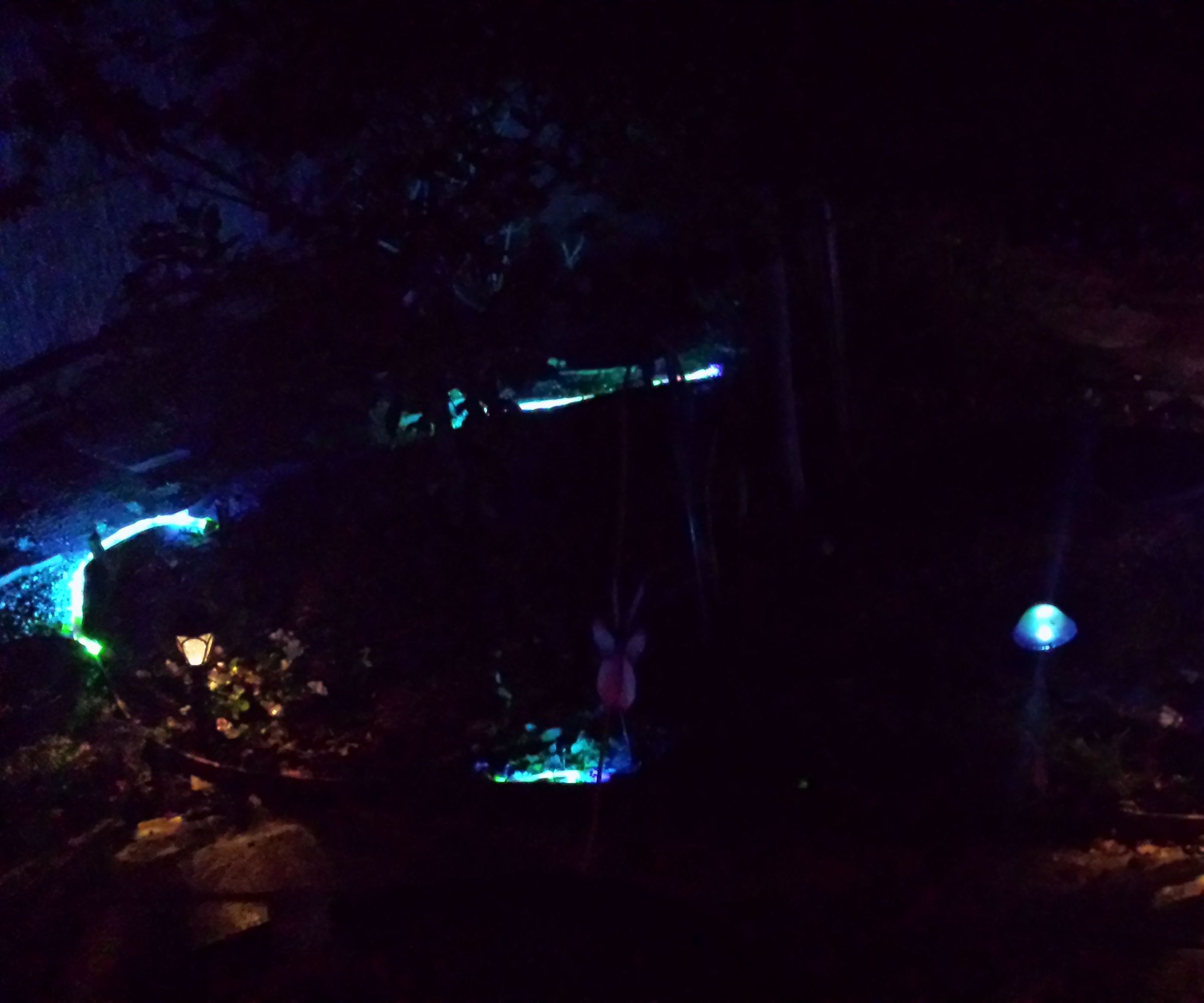 Solar Powered Color Changing Yard Lighting.