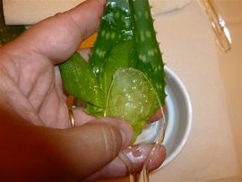 DIY Aloe Vera Gel : 4 Steps (with Pictures) - Instructables