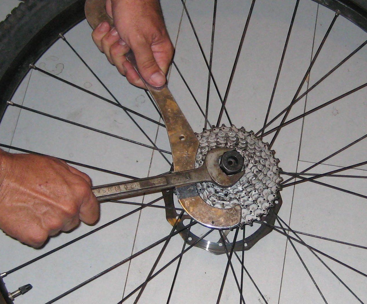 Fix Your Bike. Grease Your Bearings and Change Your Freewheel. 14