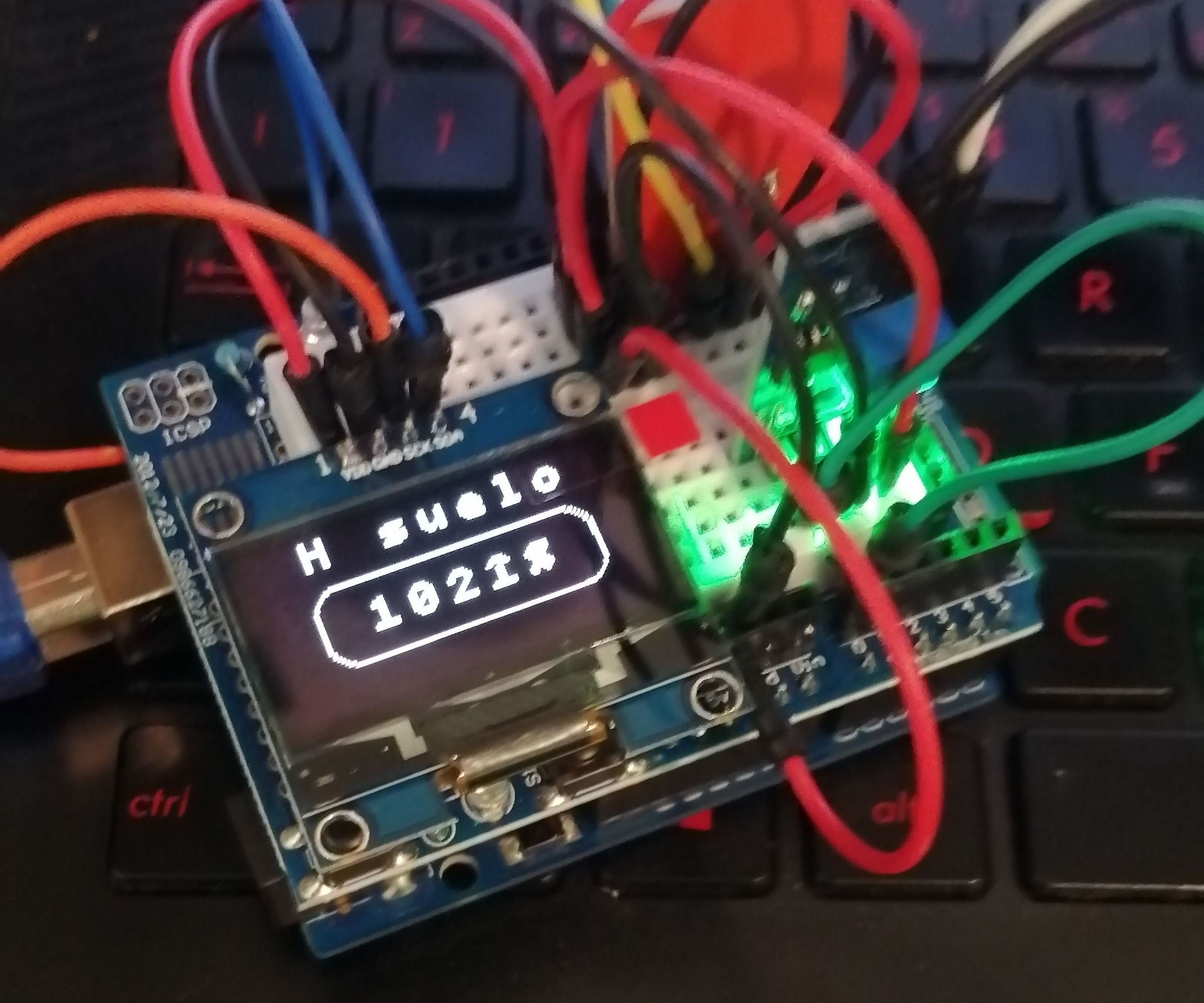 Monitor De Huerto Casero