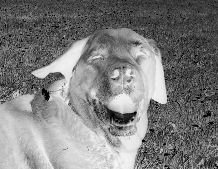 Lumi Inkodye Shopping Bag