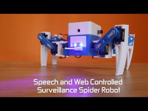 SPY-DER : A Speech & Web Controlled Surveillance Spider Robot