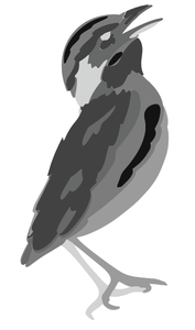 Assemble Layer 6, and You Are Done! 