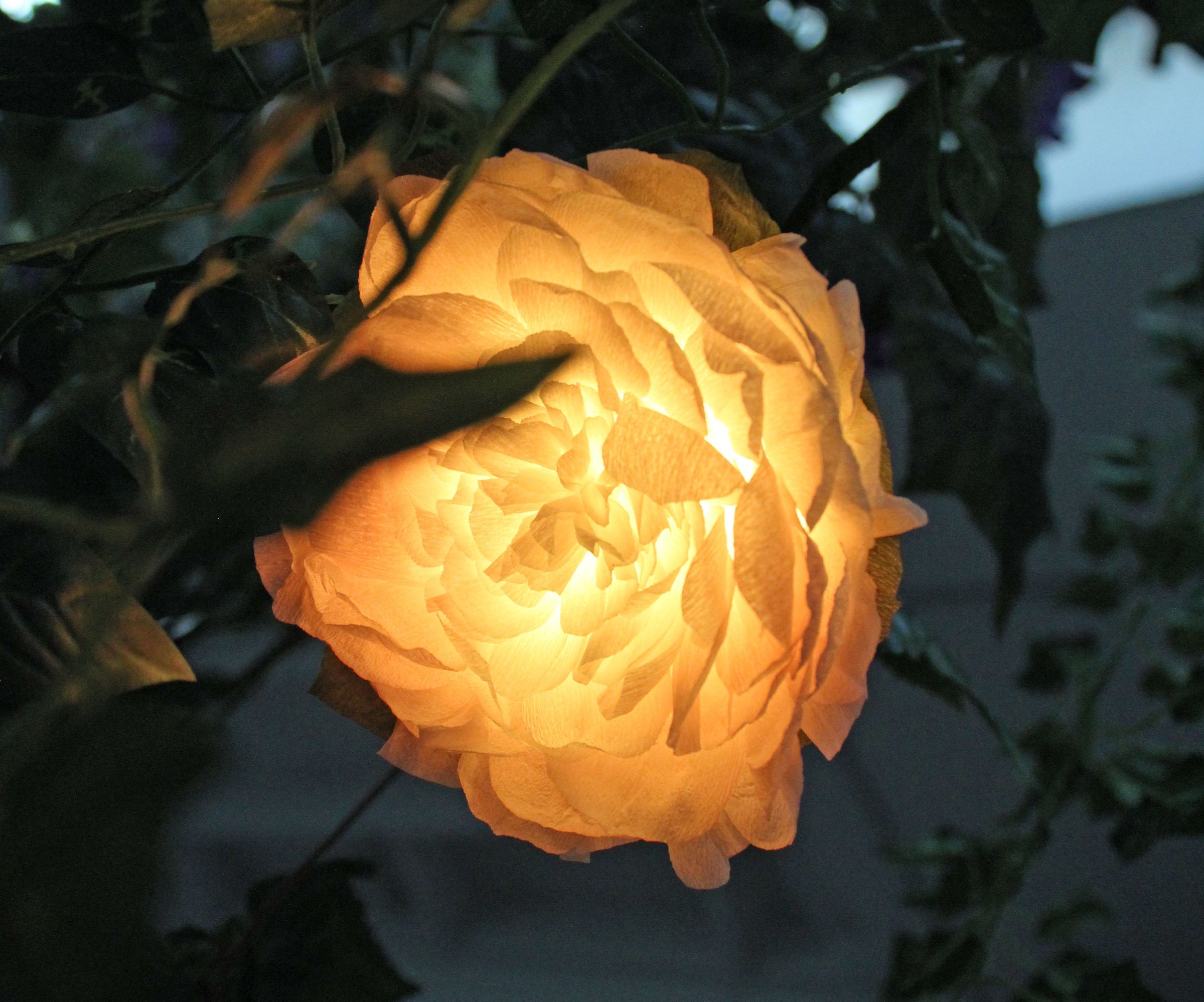 Glowing Paper Flowers