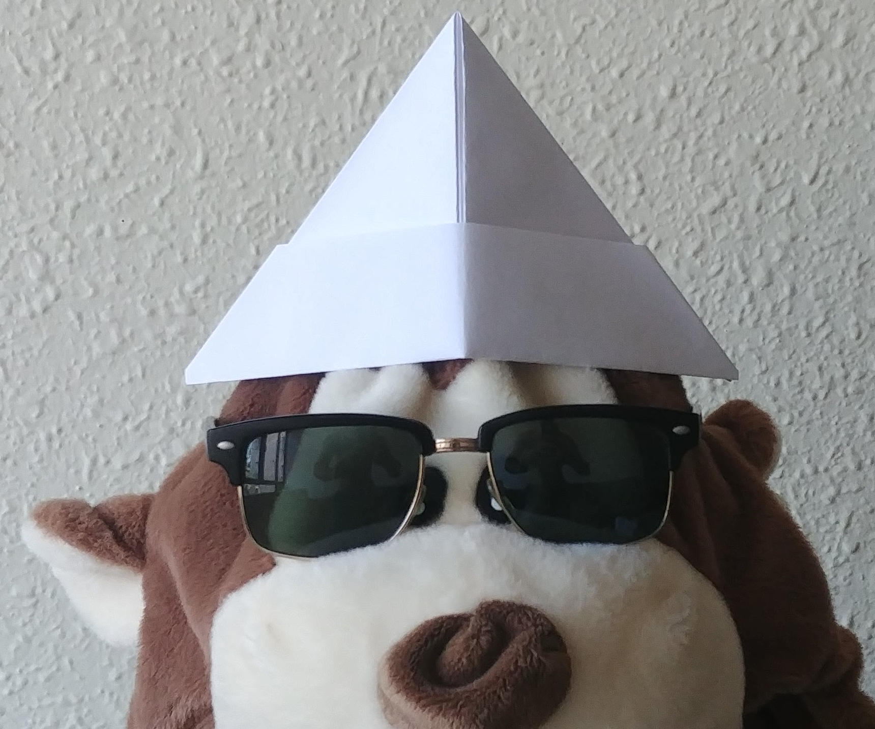 2-in-1 Paper Head Apparel/Personal Watercraft