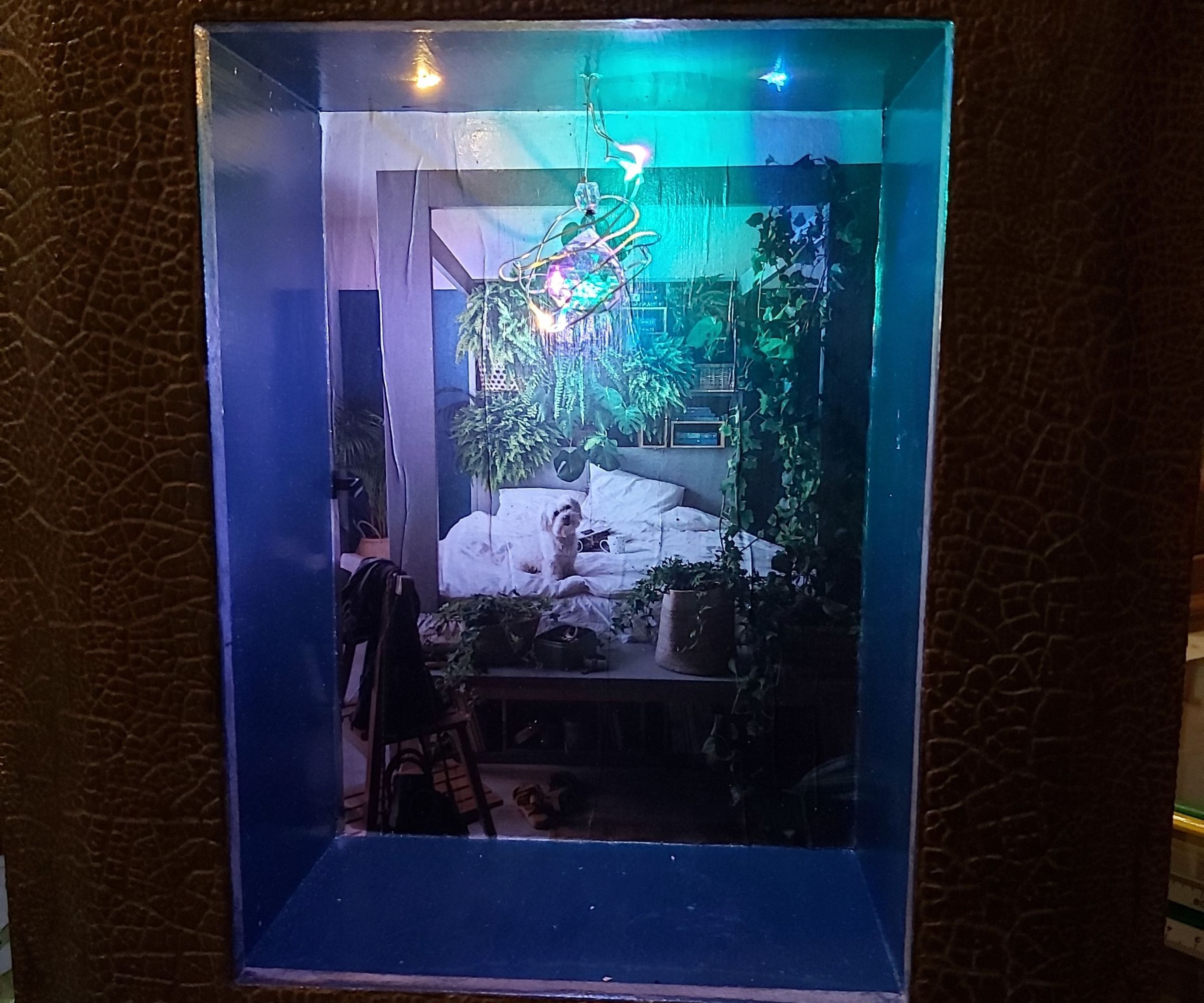 Lockdown Treasure Hunt Plant Display