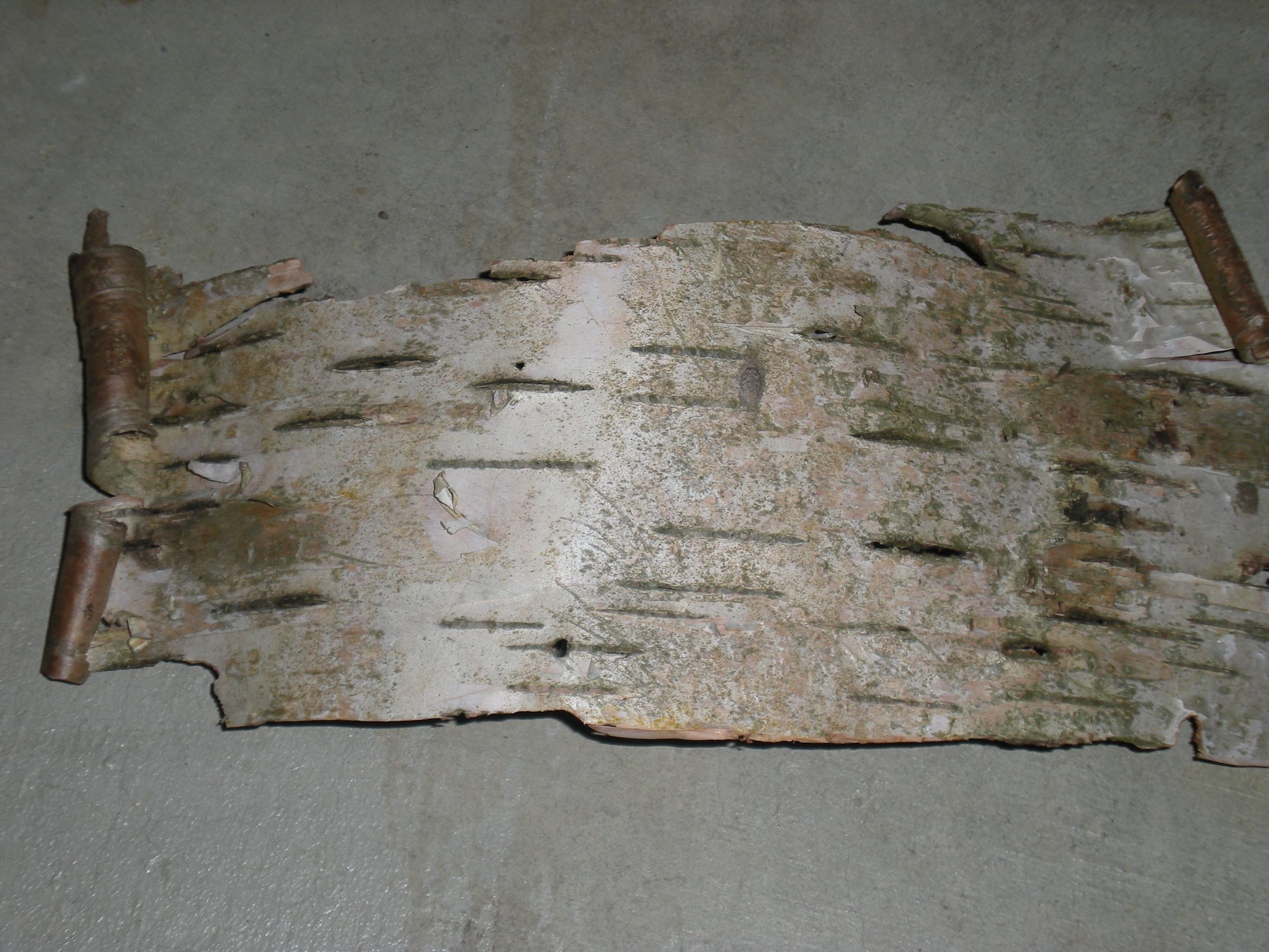 How To Burn A Poem Into Birch Bark