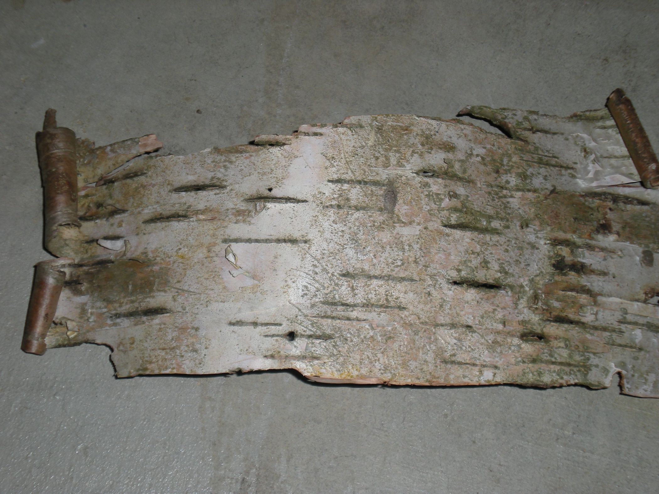 How to Burn a Poem Into Birch Bark Instructables