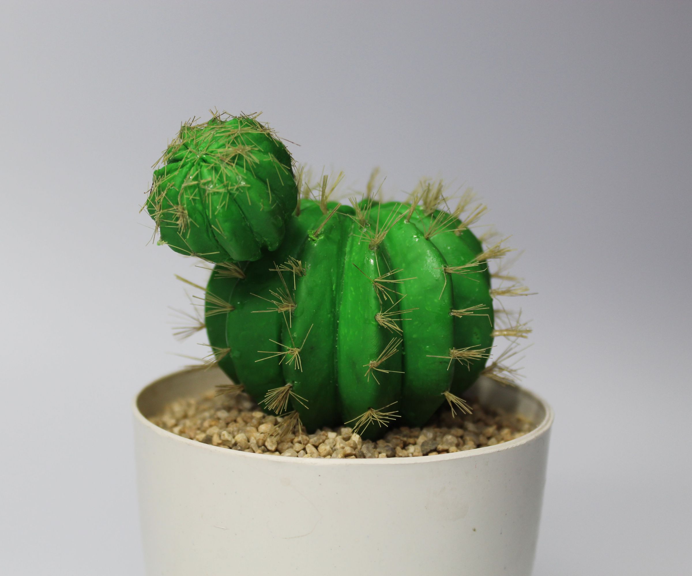 How to Make Barrel Cactus