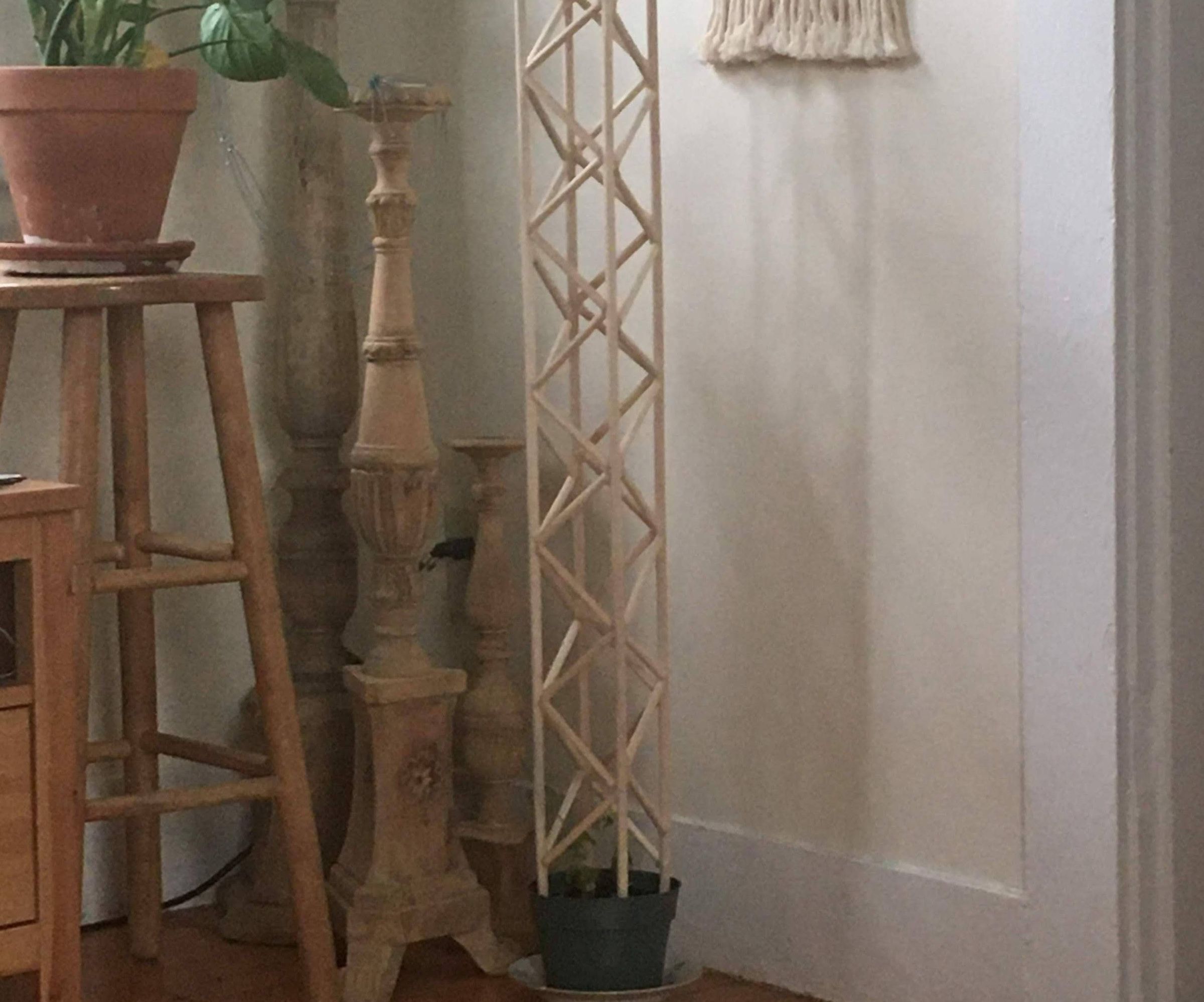 Indoor Hops Trellis