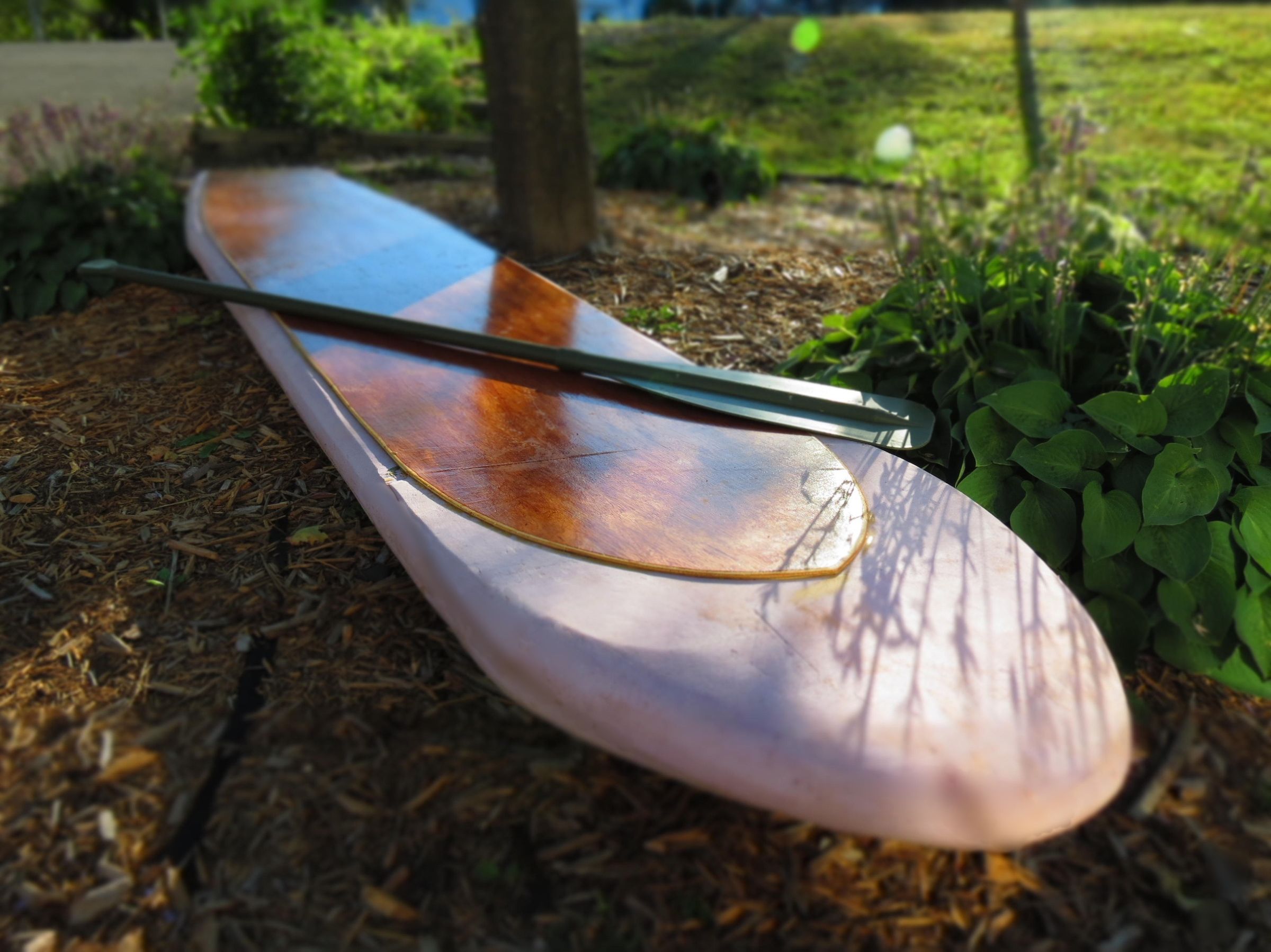 Paddle Board