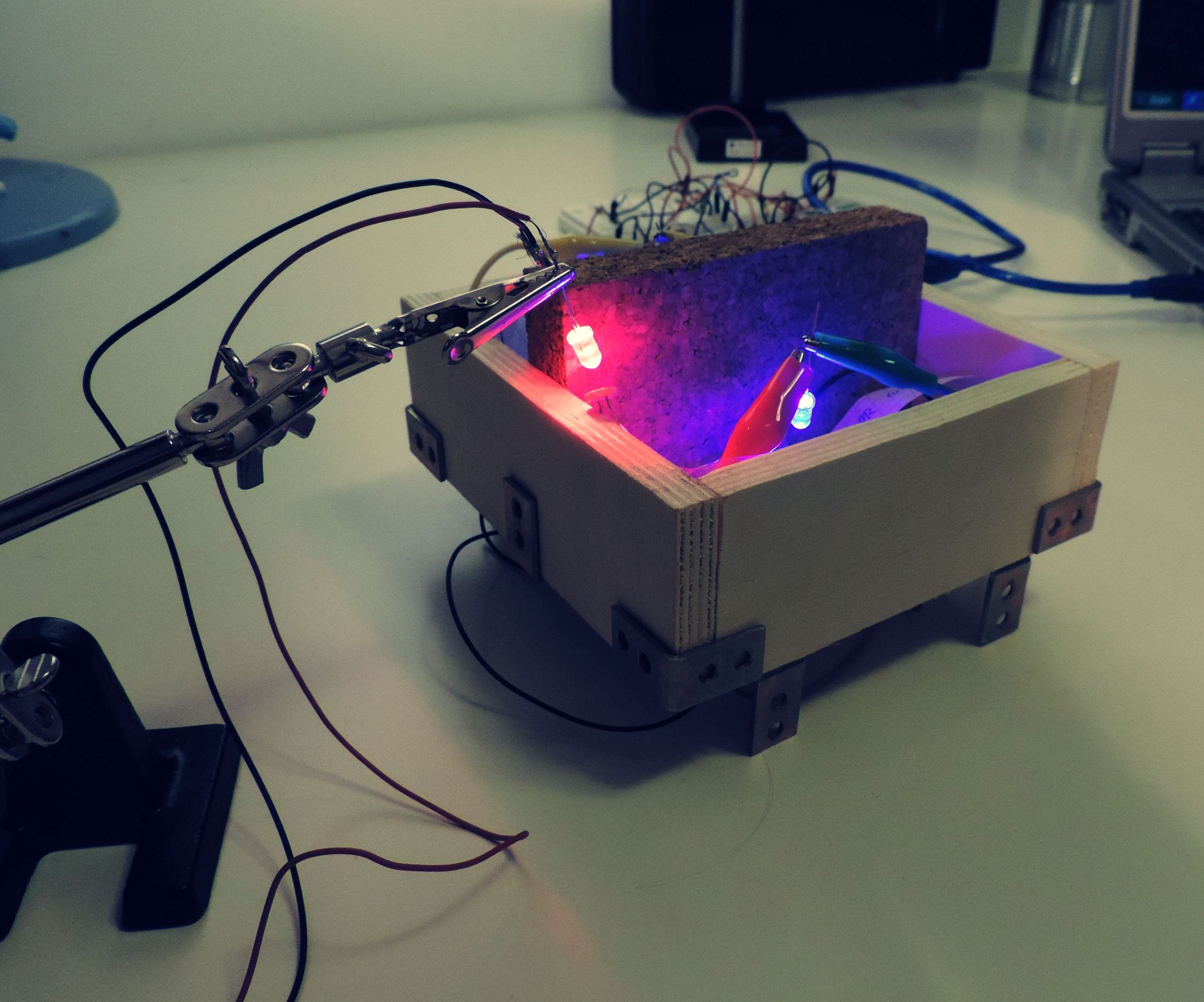 Play With Glowing Neurons? a Novel Framework for Interactive Neuron Simulation in Hardware.