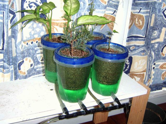 Table Top Hydroponics