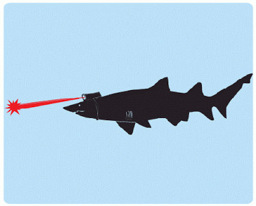 Sharks With Frickin' Laser Beams Attached to Their Heads!