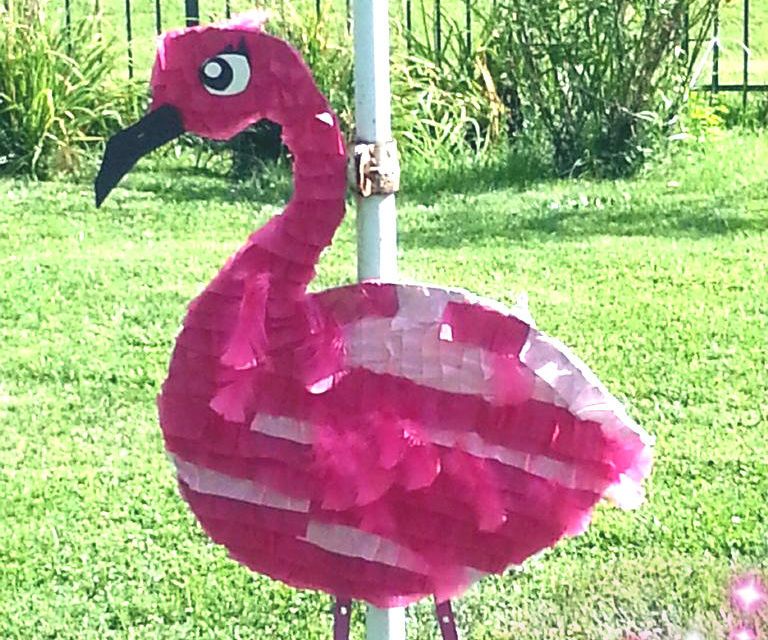 How to Throw an Outdoor Party!