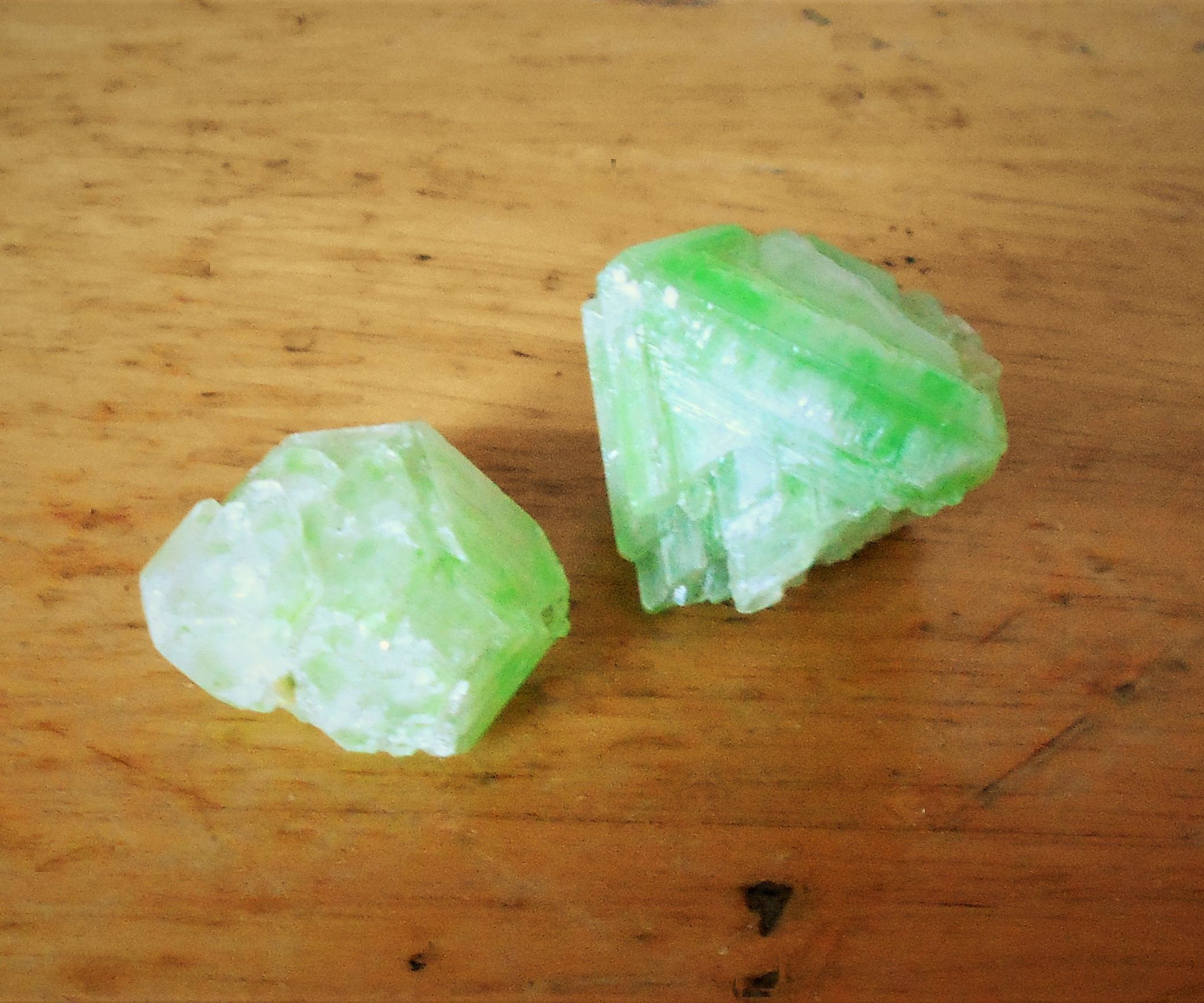 Growing Crystals!