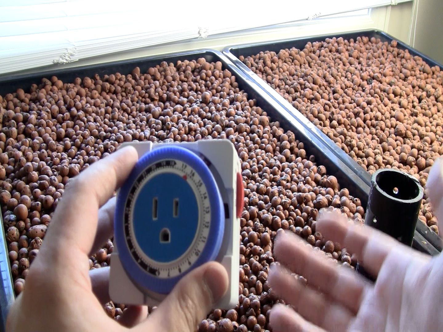 How to build a desktop aquaponics system for indoor gardening.