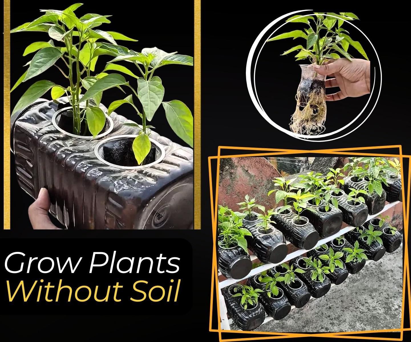 Growing Chillis Without Soil? a Budget-Friendly Hydroponic Hack for Beginners 🌱🌿