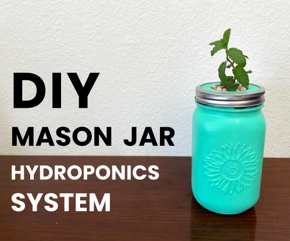 DIY Mason Jar Hydroponics System