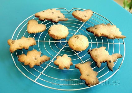 Vegan Spelt Chocolate Chip Creamcheese Cookies