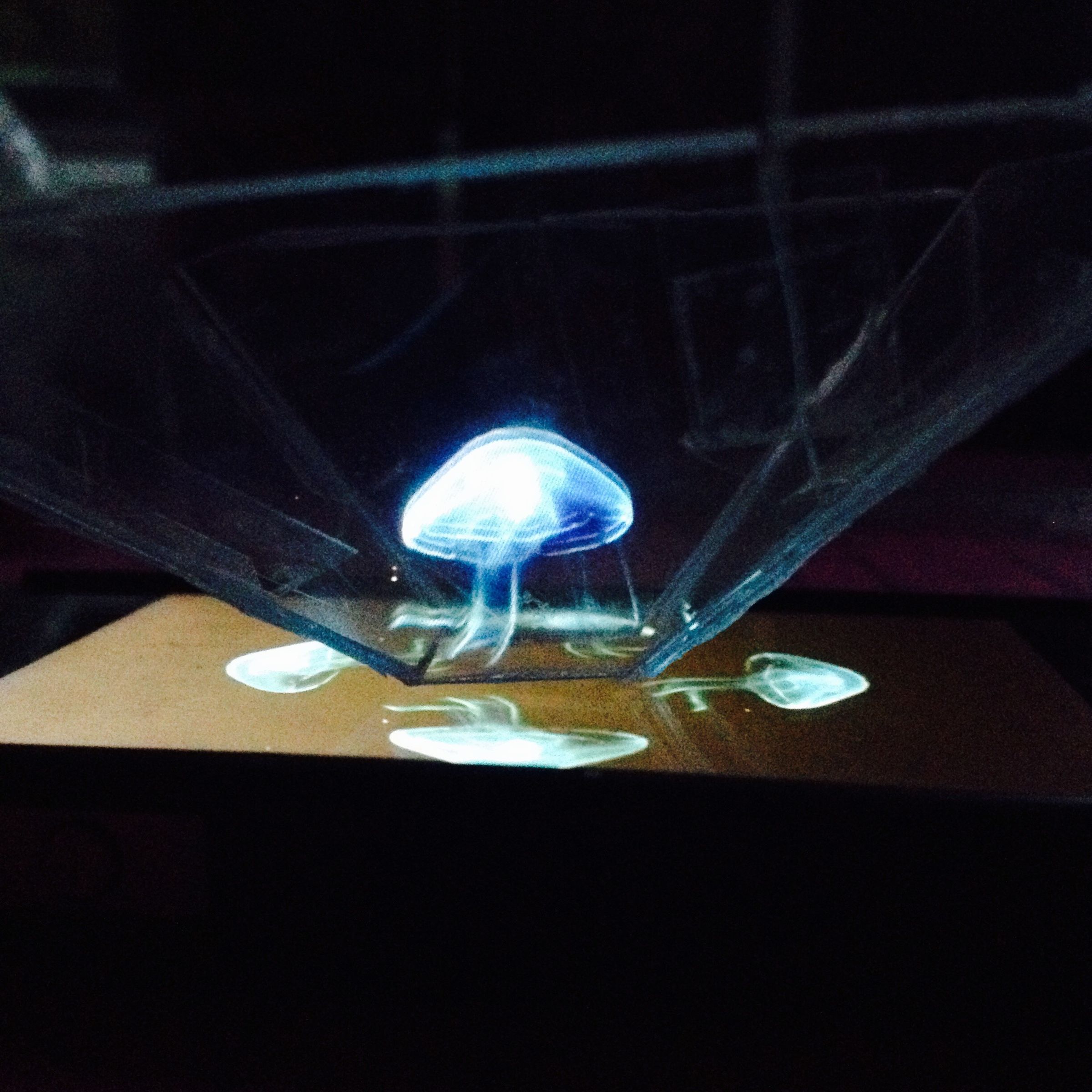DIY Holograph Projector