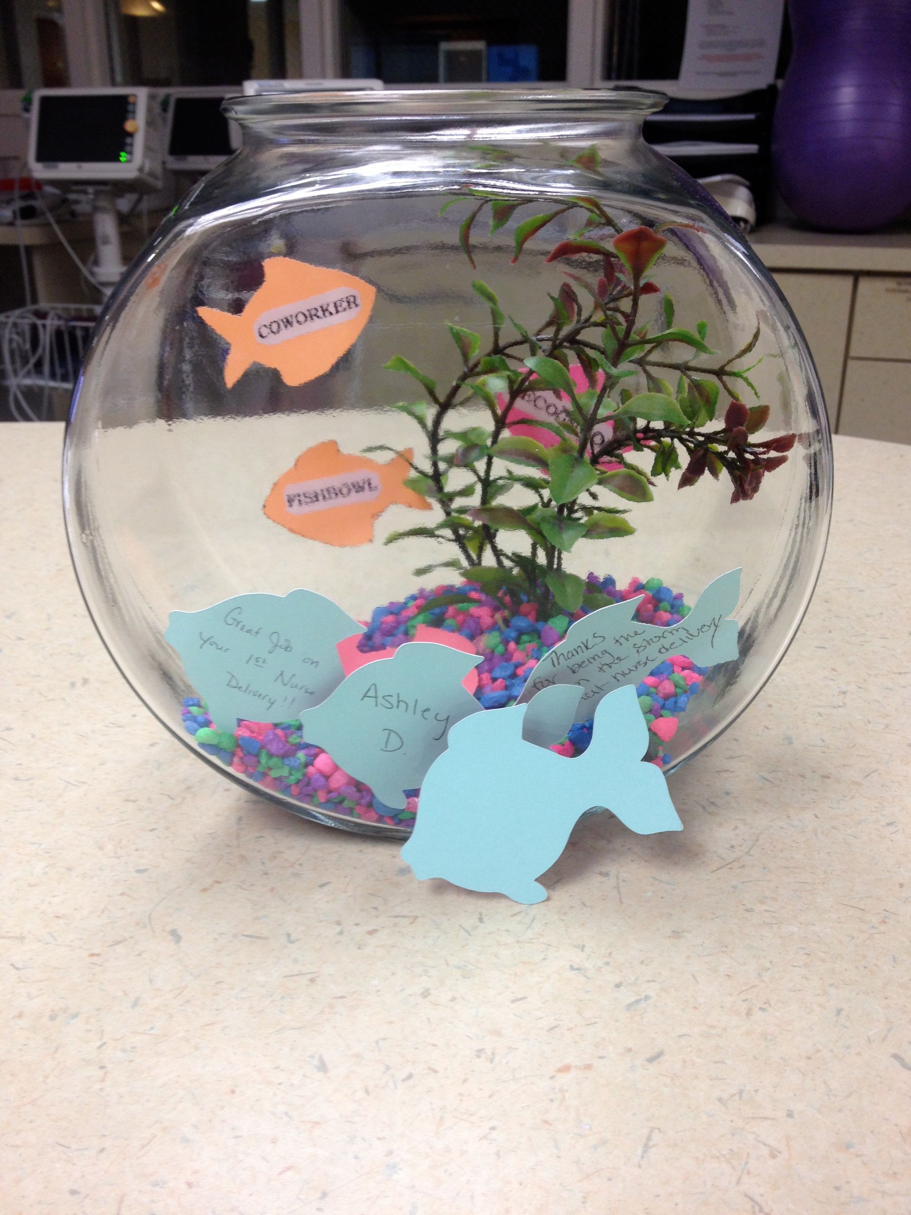 Make a 'Coworker Recognition Fishbowl' using a Cricut Expression
