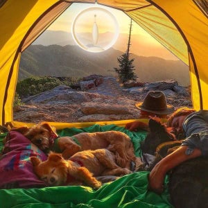 Magical Magnetic Levitation Toothbrush With Light