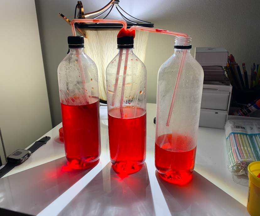 Functioning Heart: STEM Project for Kids