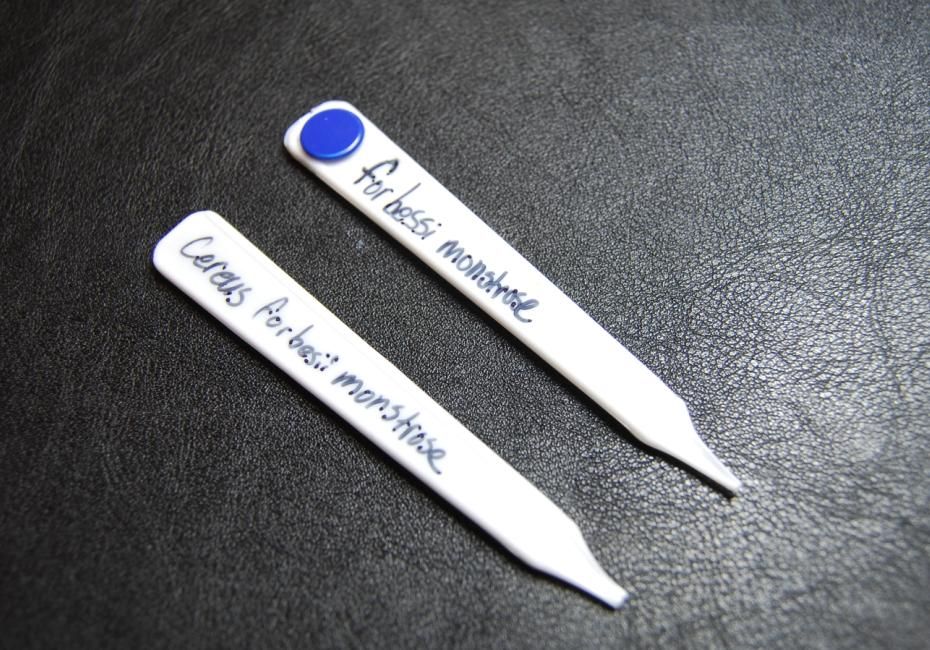 Easy, Cheap Garden Tags From Disposable Spoons