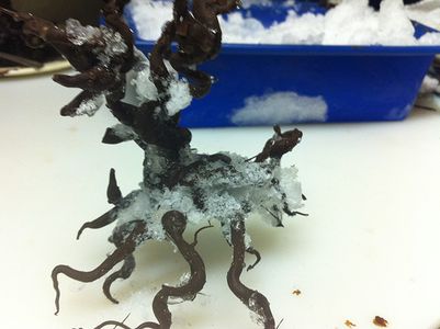 Chocolate Raspberry Tree