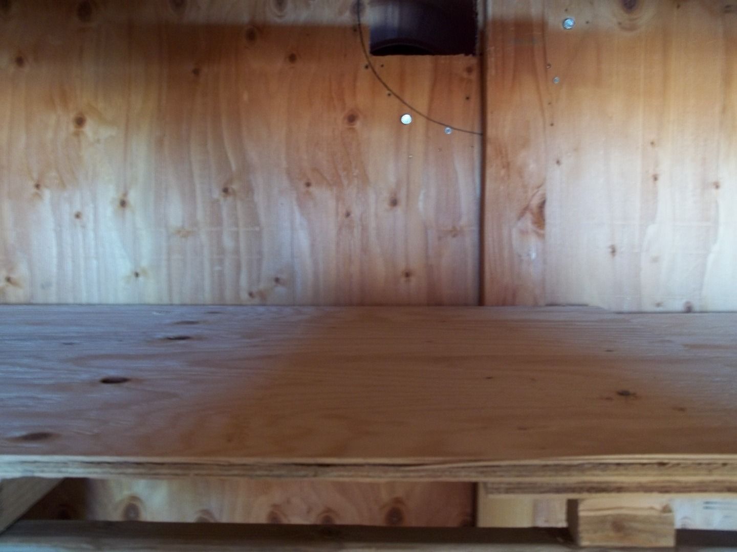 coyote proof cat shelter