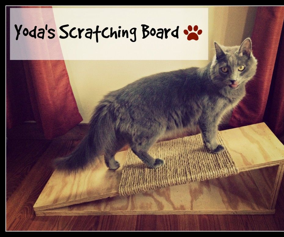 DIY Cat Scratching Board 12 Steps (with Pictures) Instructables