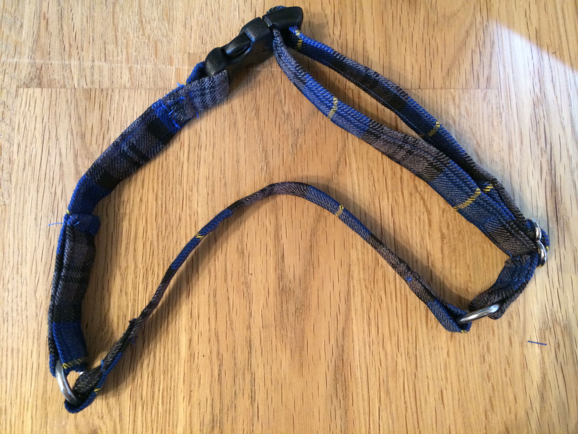 Head Halter for Dogs 6 Steps (with Pictures) Instructables