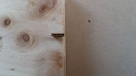 DIY - Repairing the Suspension Spring of an Vintage/antique Wall Clock ...