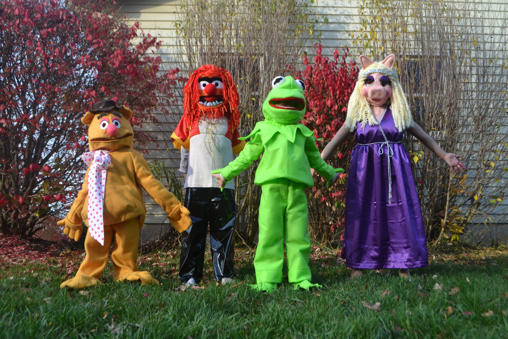 The Muppets - Instructables