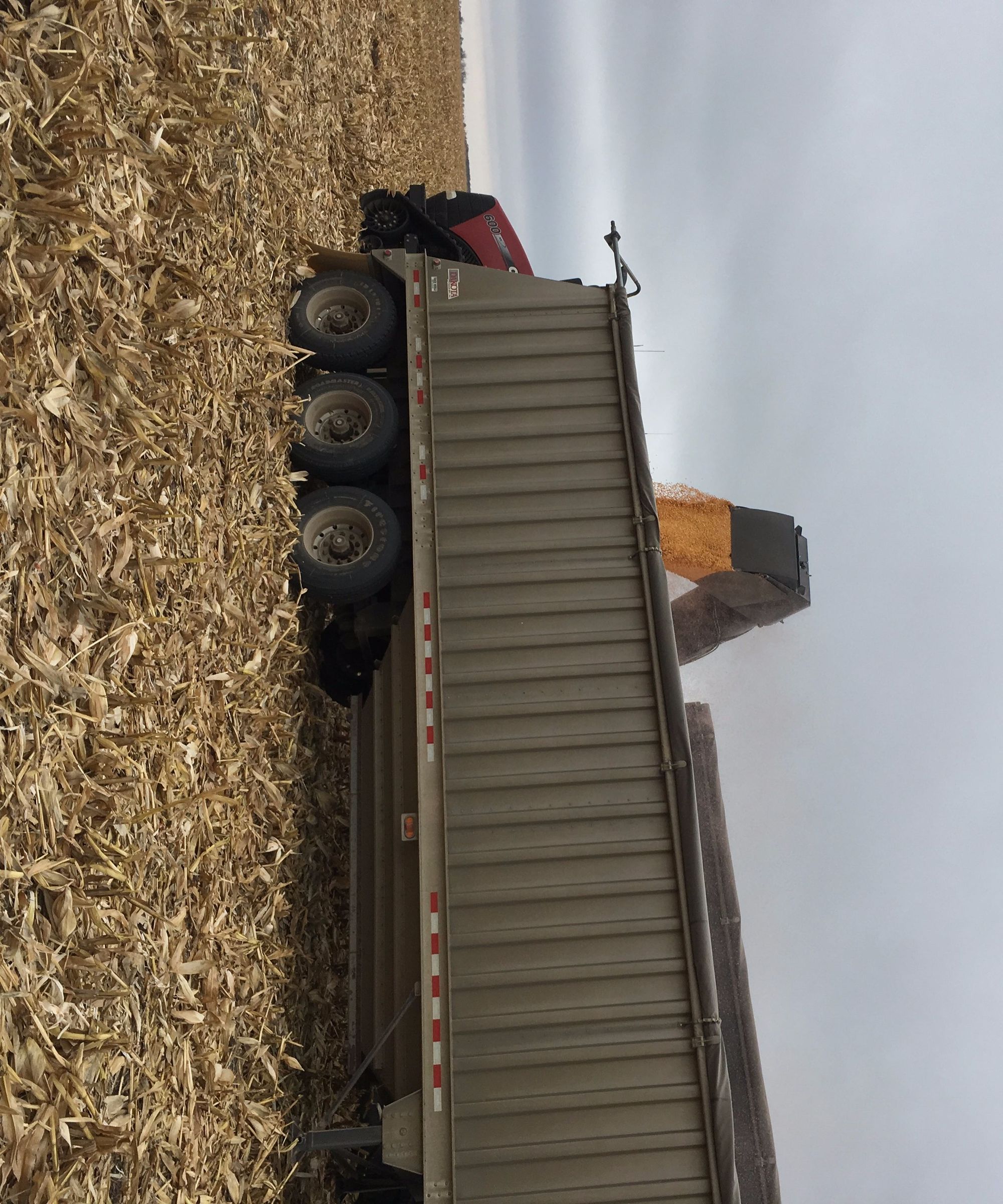 Grain Cart to Trailer