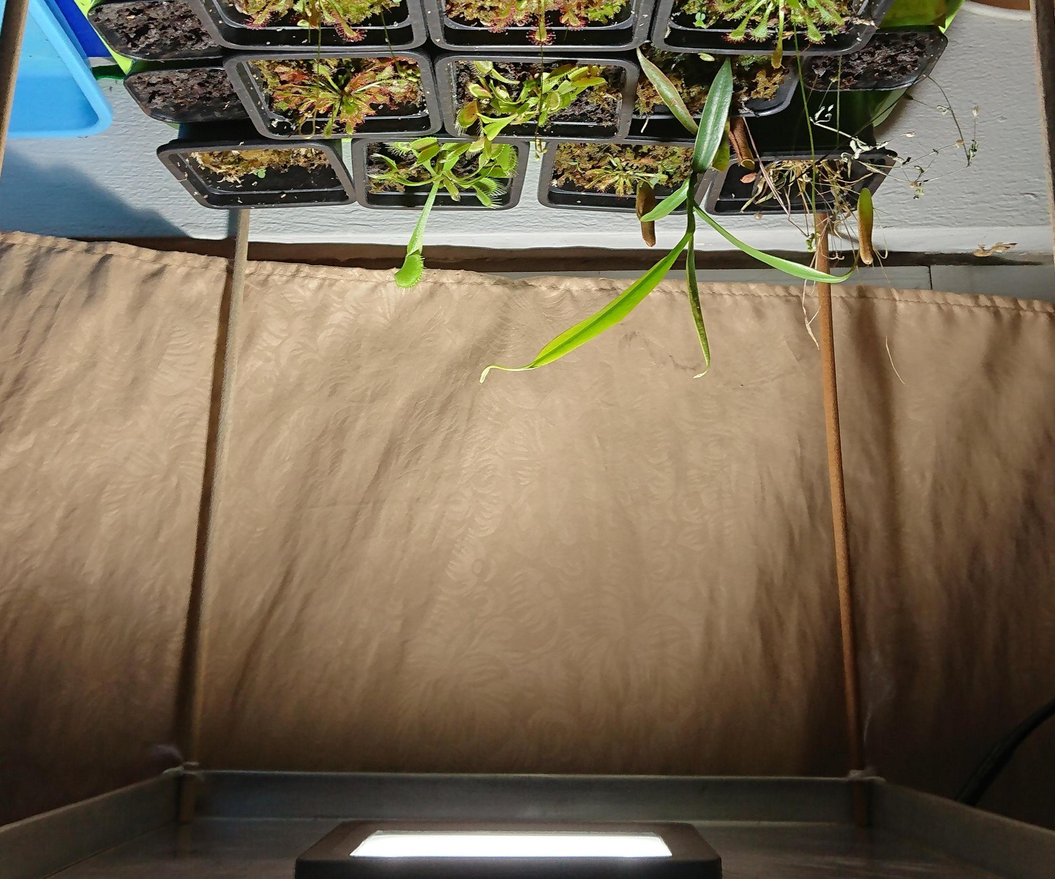 Supplementary Grow Light for Carnivorous Plants 4 Steps Instructables
